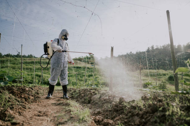 Best Affordable Pest Control Services  in Libby, MT