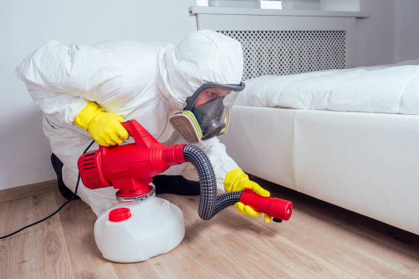 Best Emergency Pest Control  in Libby, MT