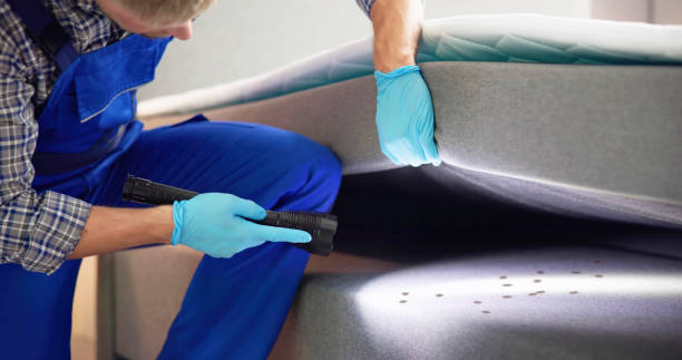 Best Affordable Exterminators  in Libby, MT
