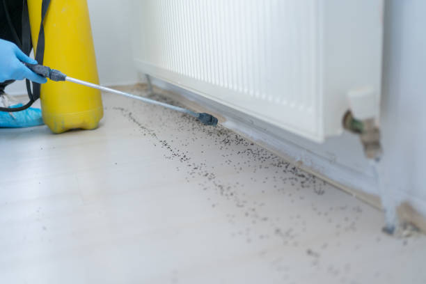 Best Commercial Pest Control Services  in Libby, MT