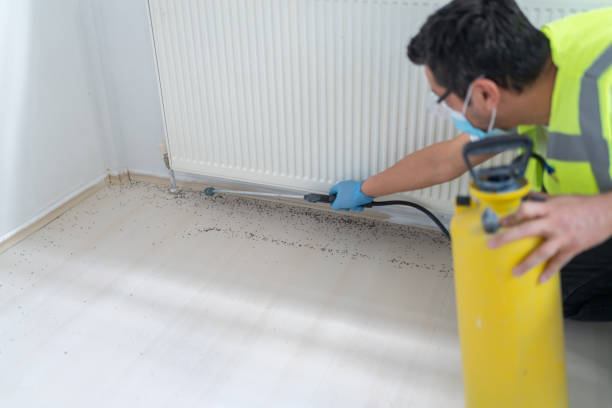Best Affordable Pest Control Services  in Libby, MT