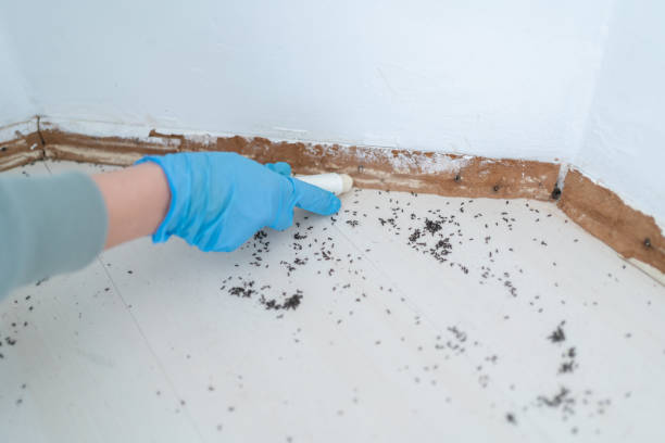 Best Wildlife Control Services  in Libby, MT