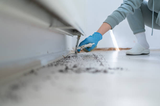 Best Best Pest Control Companies  in Libby, MT