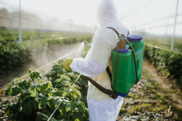 Flea Control Services in Libby, MT